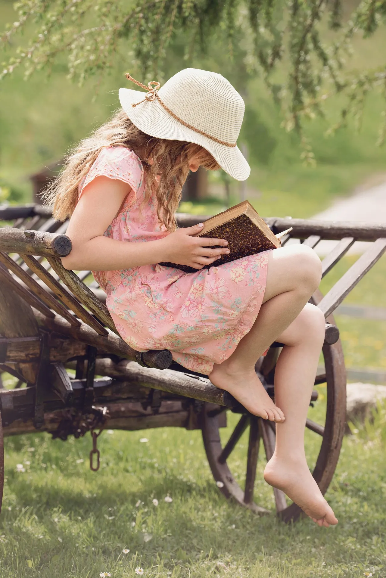 Lettura