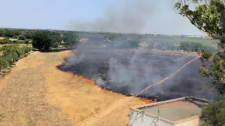 Acquaviva, incendio nelle campagne a ridosso di via Giambattista Vico: fiamme vicino alle abitazioni